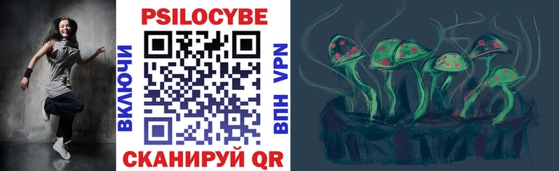 Галлюциногенные грибы Psilocybe  дарнет шоп  это телеграм  Бокситогорск 